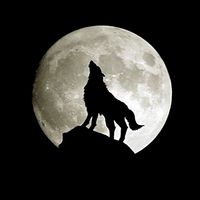 Adalwolf
